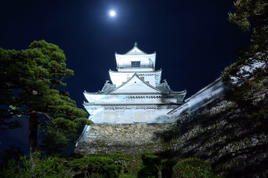 高知夜城