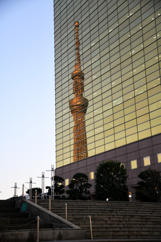 スカイツリーみいつけた！