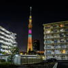団地より望む