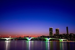 豊洲大橋輝く！