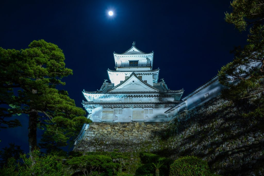 真・高知夜城
