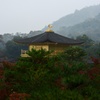 緑の中の金閣寺