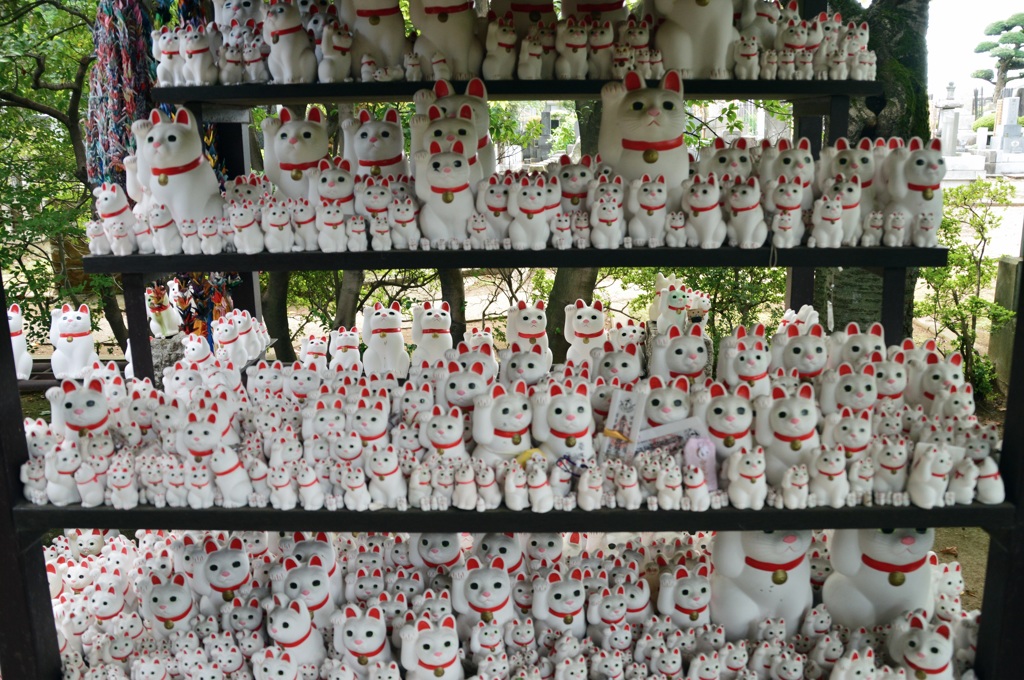 ダンボーのかくれんぼ－