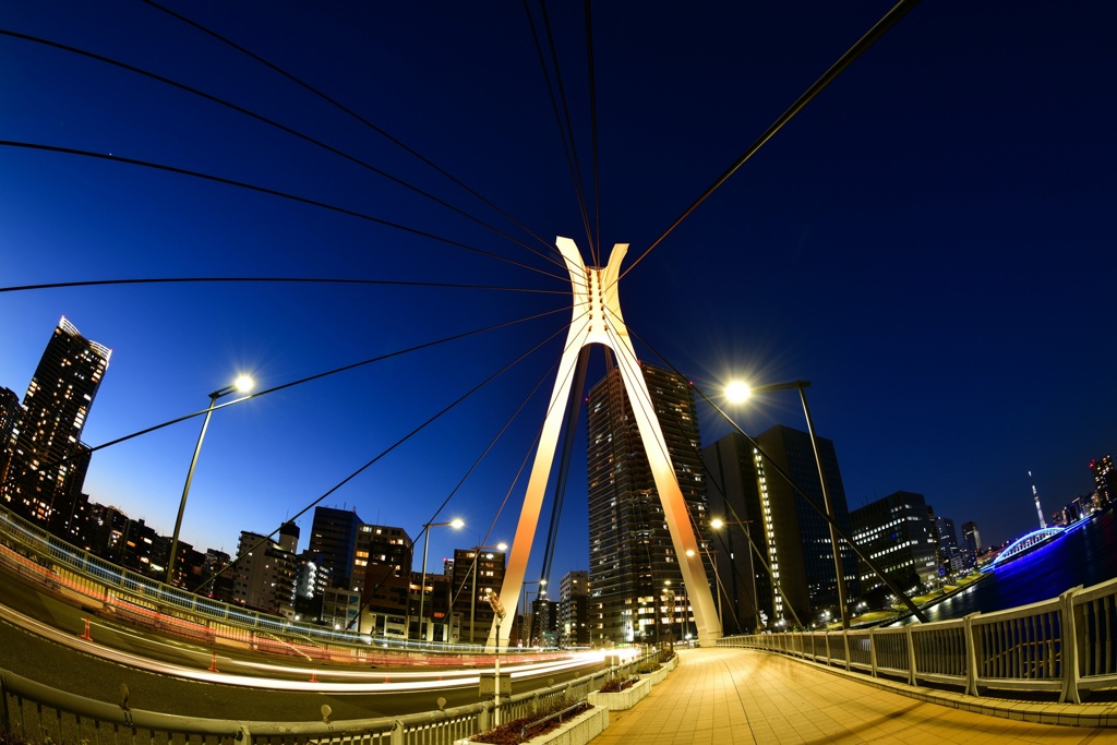 黄金の大橋