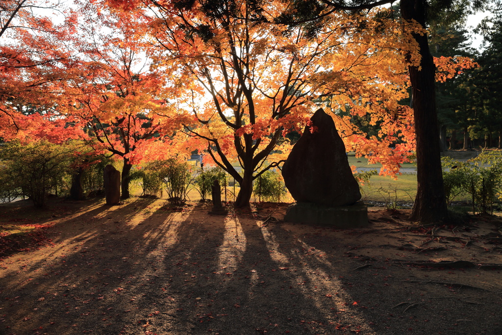 光（毛越寺）