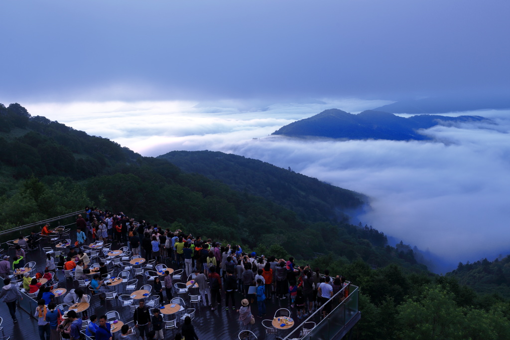 今年の雲海2015