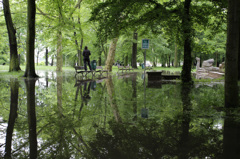 大雨の後の公園