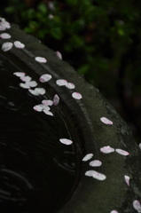 雨の宮島