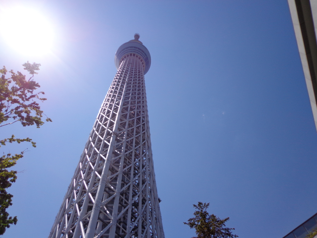太陽とスカイツリー