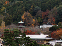 京都76