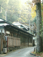成田山77