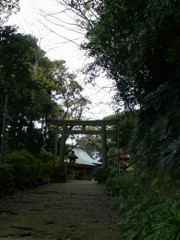 勝浦68