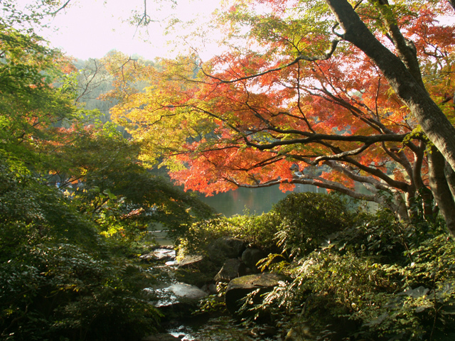成田山79