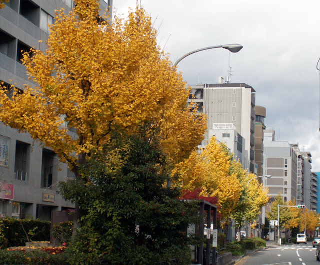 京都59