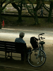 千葉公園18