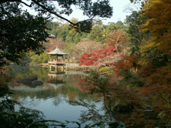 成田山72