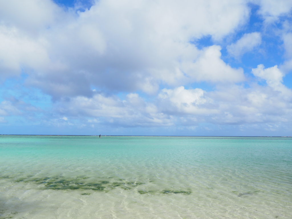 sea05
