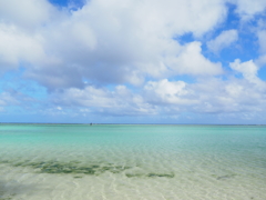 sea05