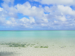 sea06
