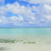 sea06