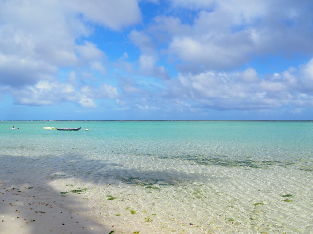 sea04