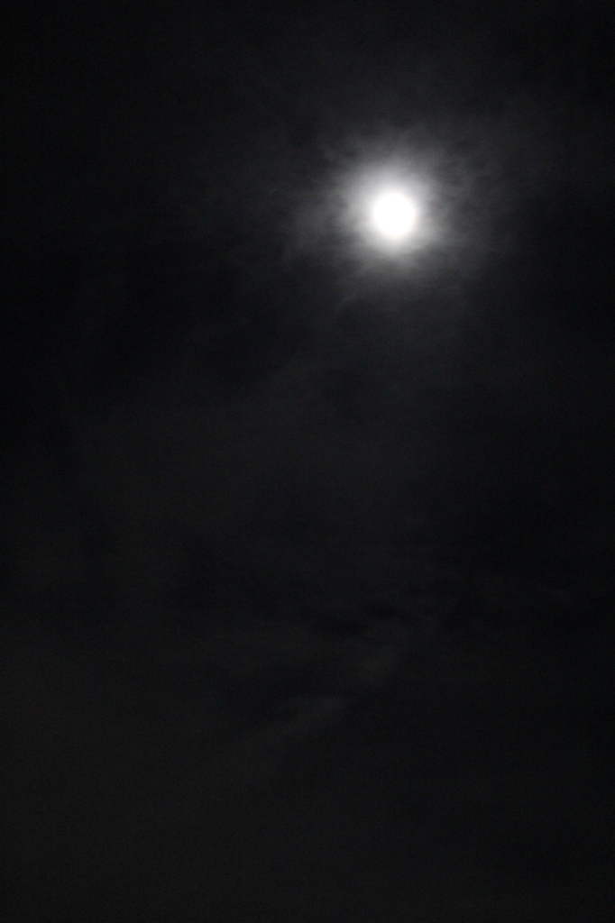 おぼろ月夜