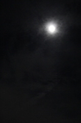おぼろ月夜