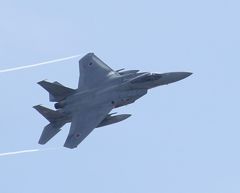 F-15 (1)