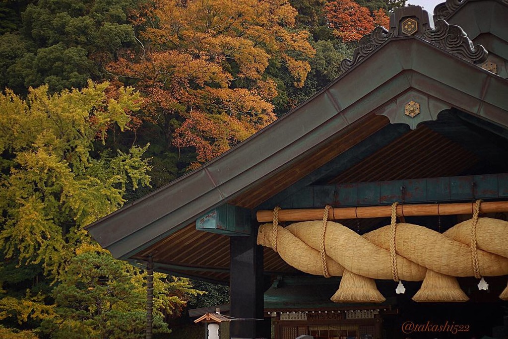 出雲大社 神在祭 大注連縄と紅葉