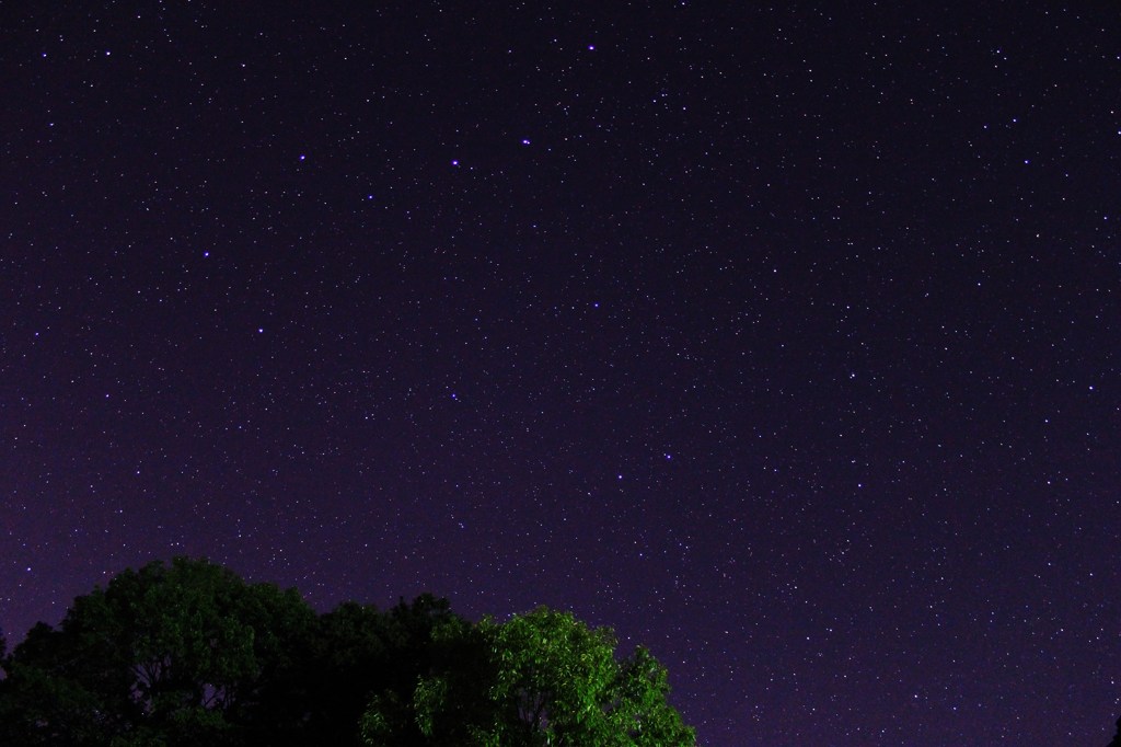 北斗七星見えた