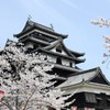 松江城桜