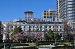 New Grand Hotel