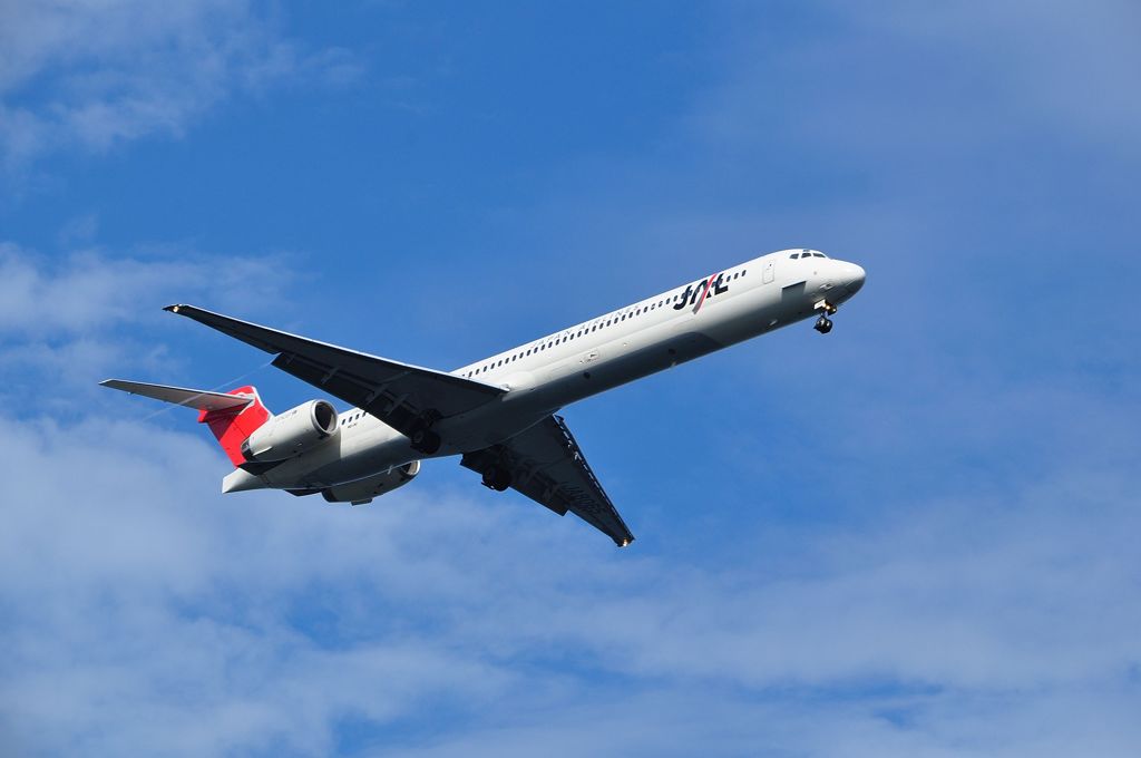 JAL 雄姿