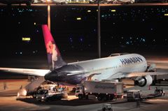 Hawaiian B767
