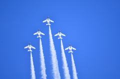 Delta Loop1