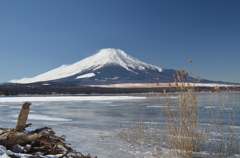 結氷