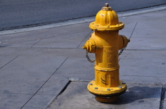 Yellow Cap