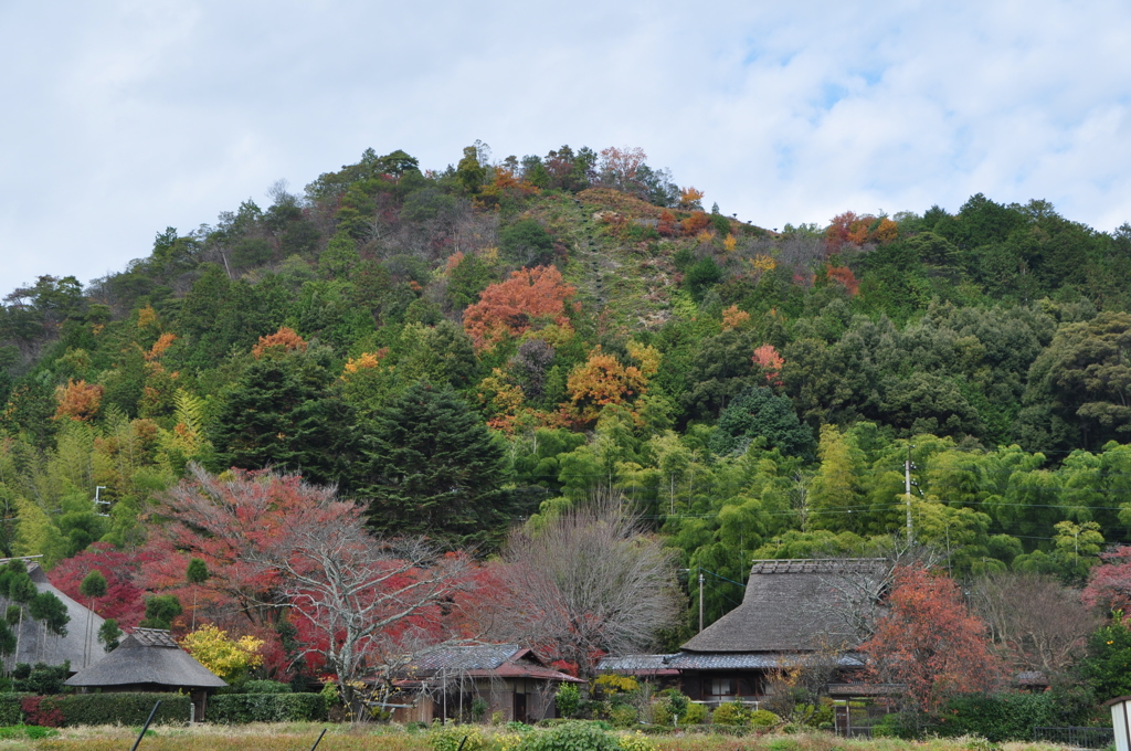 里山