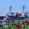イージス艦とバラの園