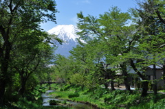 青葉の季節