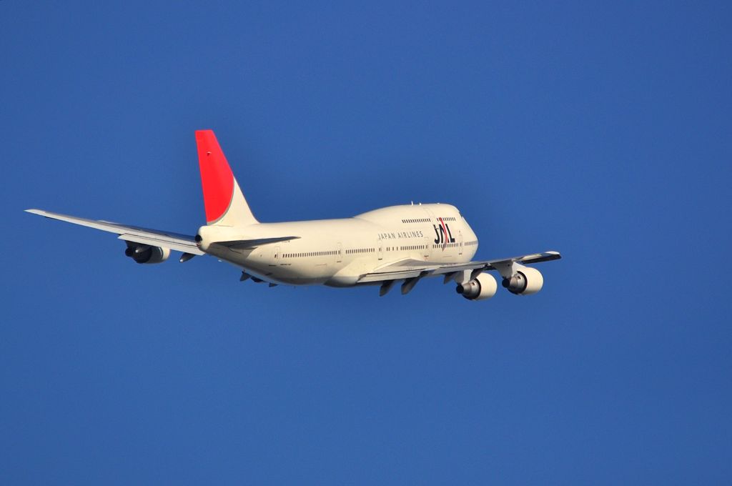 Fly away
