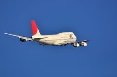 Fly away
