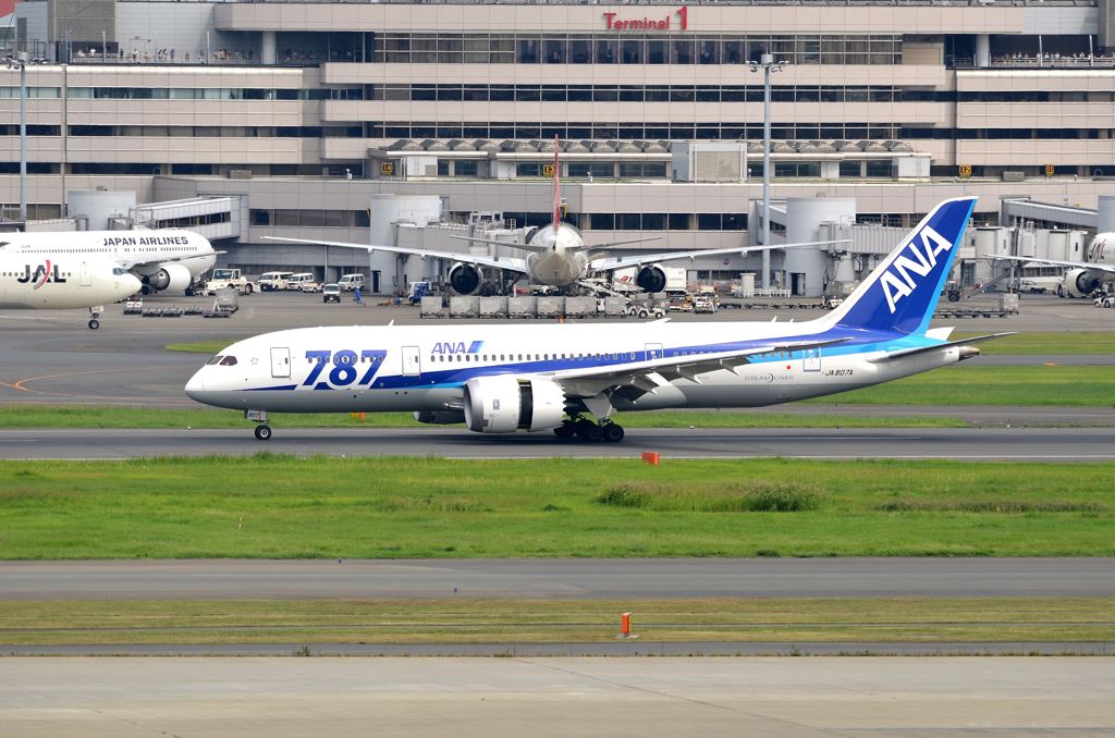 ANA B-787 Reverse