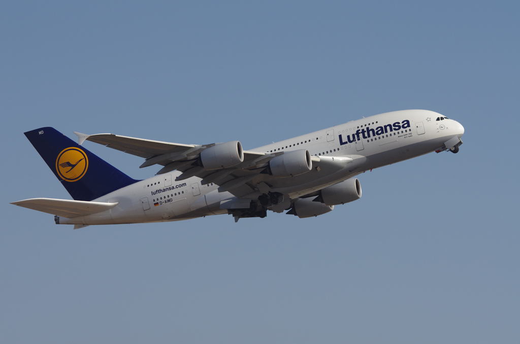 IMGP7003