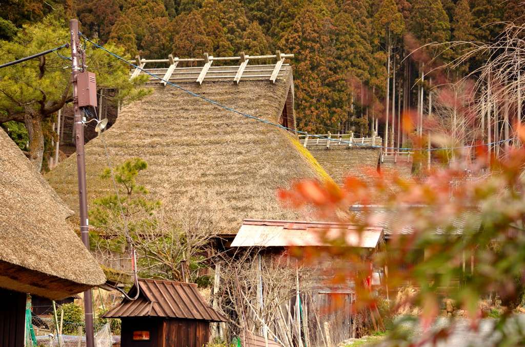 茅葺屋根三連