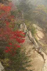 朝靄の紅（くれない）