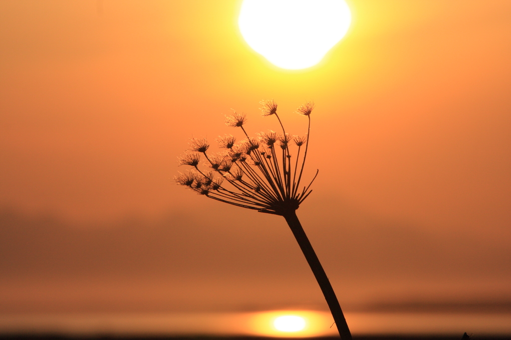 野付半島の夕日