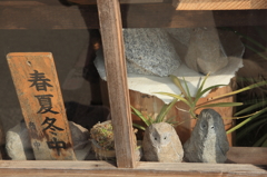 春夏冬中