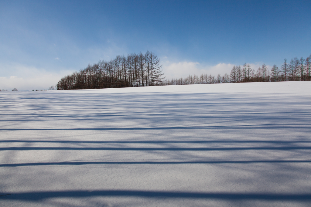 雪上の陰影 