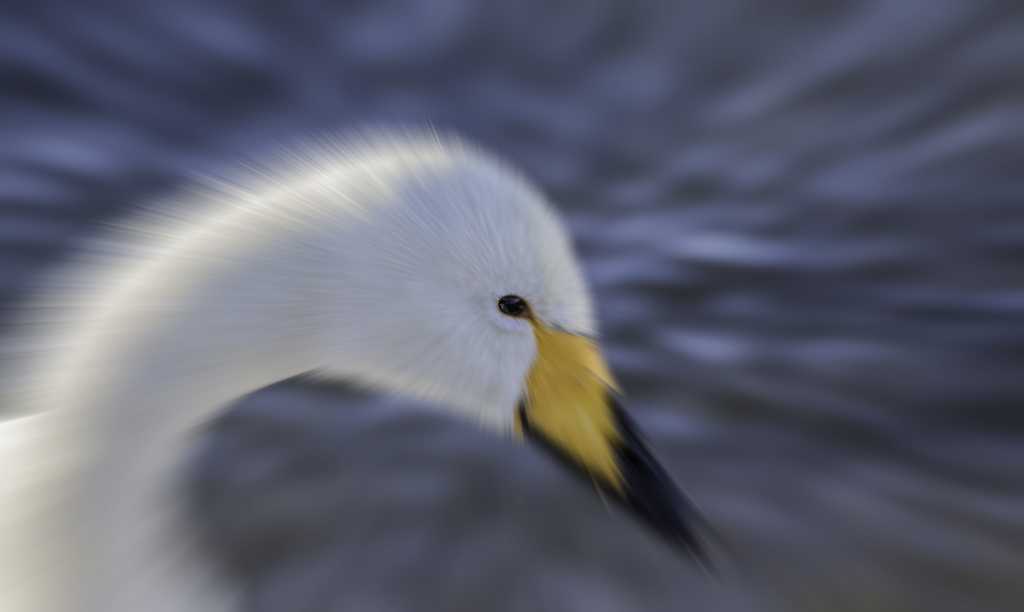 集中